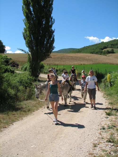 asinelli-25.JPG